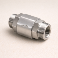 Обратный клапан G-S AISI 304 DN 40